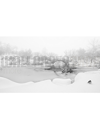 Φωτοταπετσαρια Τοιχου The First Snow Of Central Park