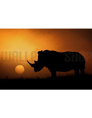 Φωτοταπετσαρια Τοιχου Rhino Sunrise