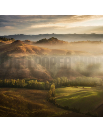 Φωτοταπετσαρια Τοιχου Mystical Waving Fields Tuscany