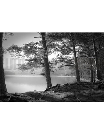 Φωτοταπετσαρια Τοιχου Loch An Eilein