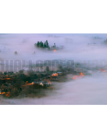 Φωτοταπετσαρια Τοιχου In The Morning Fog