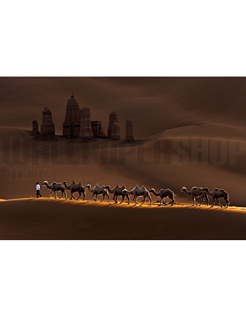 Φωτοταπετσαρια Τοιχου Castle And Camels
