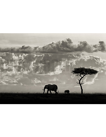 Φωτοταπετσαρια Τοιχου Silhouettes Of Mara