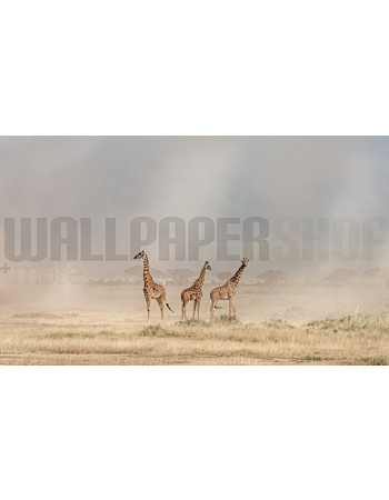 Φωτοταπετσαρια Τοιχου Weathering The Amboseli Dust Devils
