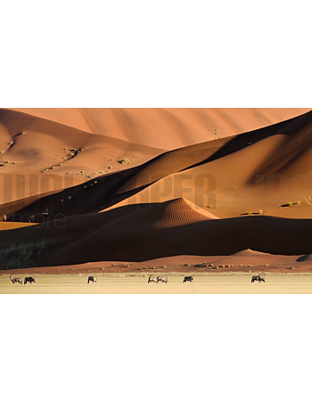 Φωτοταπετσαρια Τοιχου Namib Dunes