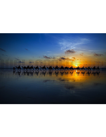 Φωτοταπετσαρια Τοιχου Sunset Camel Ride