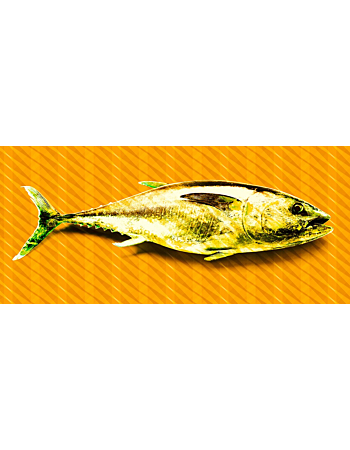 Φωτοταπετσαρια Tuna Graphic 1 Πορτοκαλι