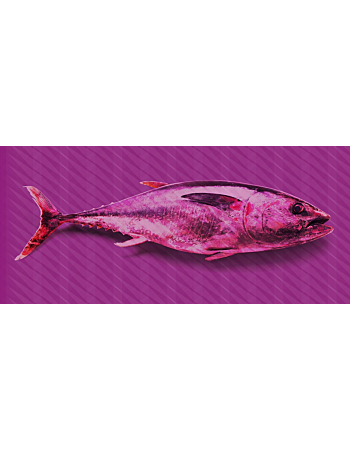 Φωτοταπετσαρια Tuna Graphic 3 Ανοιχτο Μωβ