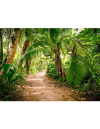 Φωτοταπετσαρια Palm Walk Πρασινο
