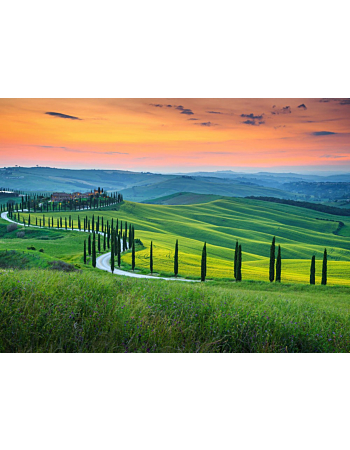 Φωτοταπετσαρια Tuscany 1 Πρασινο