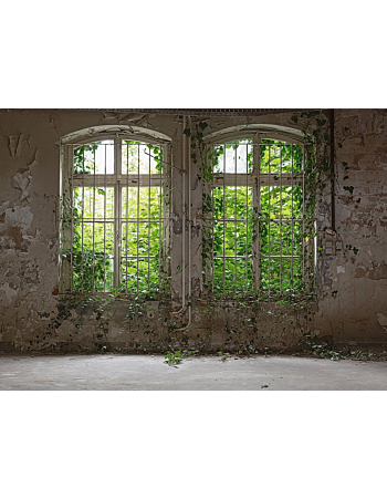 Φωτοταπετσαρια Old Window Πρασινο