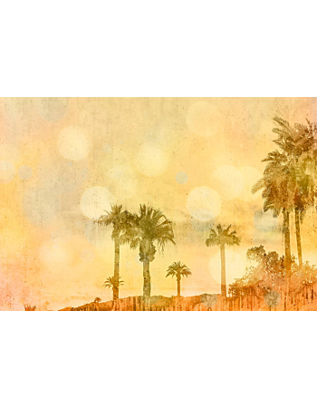 Φωτοταπετσαρια Palm Oasis 1 Κιτρινο