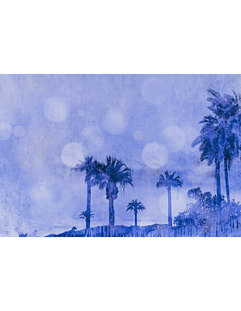Φωτοταπετσαρια Palm Oasis 2 Μπλε