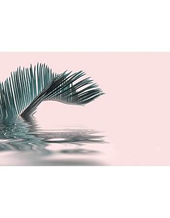Φωτοταπετσαρια Palm Leaf Water  Ροζ