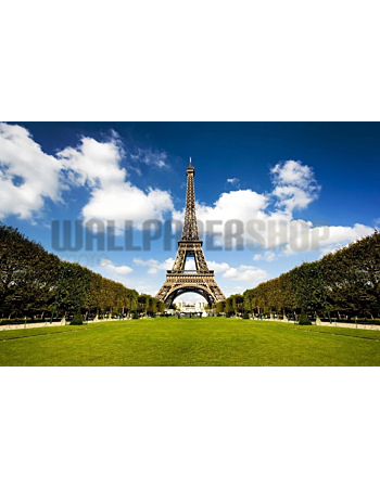 Φωτοταπετσαρια Τοιχου Digital Walls Eiffel Tower