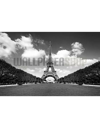 Φωτοταπετσαρια Τοιχου Digital Walls Eiffel Tower