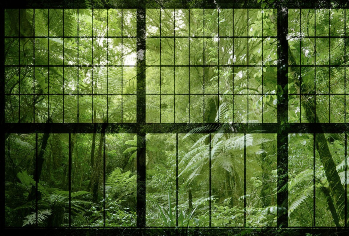 Φωτοταπετσαρια Rainforest 2 Πρασινο