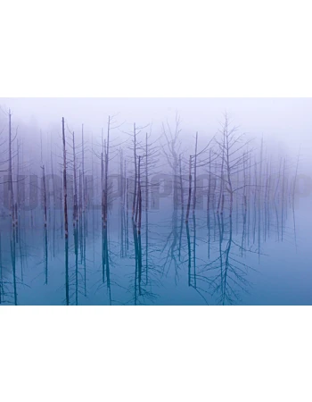 Φωτοταπετσαρια Τοιχου Misty Blue Pond