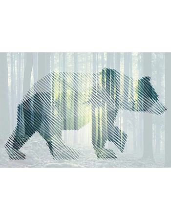 Φωτοταπετσαρια Bear Forest 1 Πρασινο