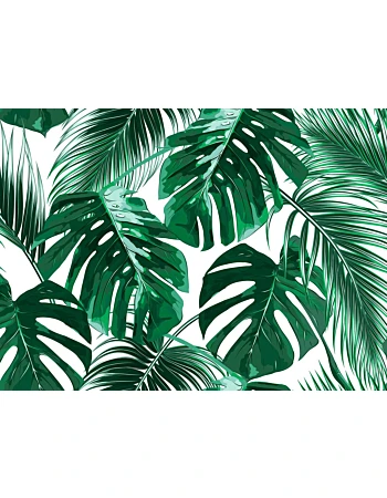 Φωτοταπετσαρια Palm Leaves 1 Πρασινο