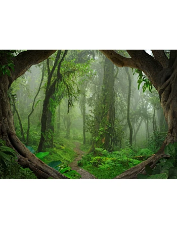 Φωτοταπετσαρια Tropical Forest Πρασινο