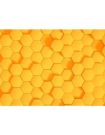 Φωτοταπετσαρια Honey Comb 2 Πορτοκαλι