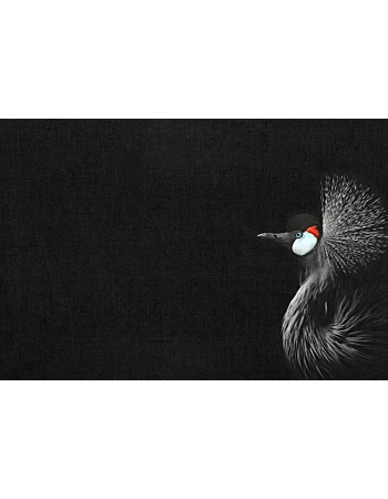 Φωτοταπετσαρια Crowned Crane Μαυρο Μαυρο