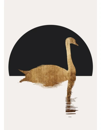 Φωτοταπετσαρια The Swan 1 Μαυρο