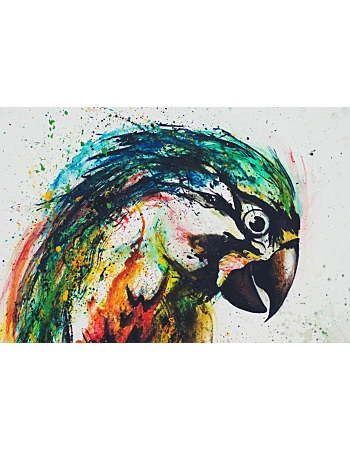 Φωτοταπετσαρια Parrot Πολυχρωμη