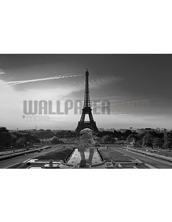 Φωτοταπετσαρια Τοιχου Digital Walls Eiffel Tower IV