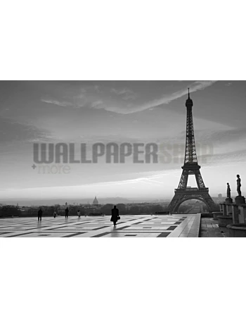 Φωτοταπετσαρια Τοιχου Digital Walls Eiffel Tower III
