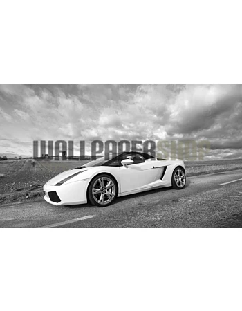 Φωτοταπετσαρια Τοιχου Lamborghini Gallardo